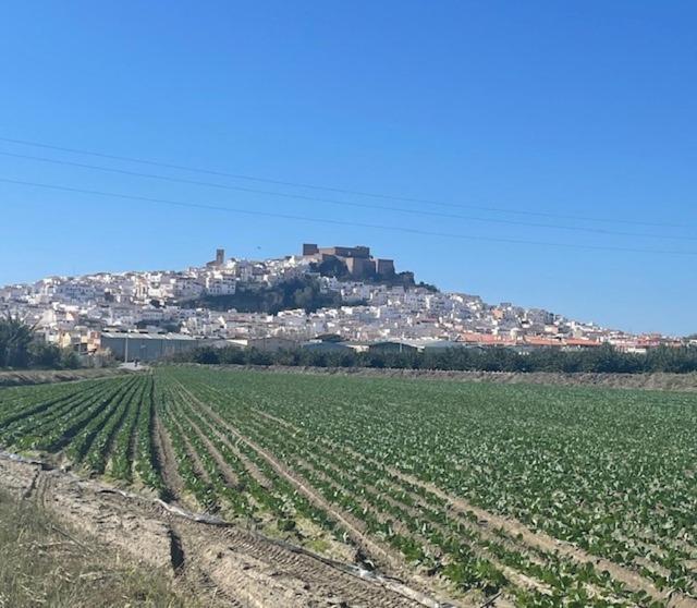 Las Brisas Apartment, Salobreña מראה חיצוני תמונה
